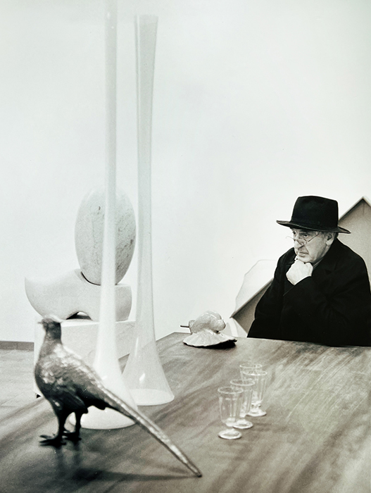  - Portfolio - Ricarda Niks - Fotografie